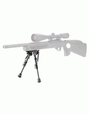 CHAMPION ROCK MOUNTAIN BI-POD