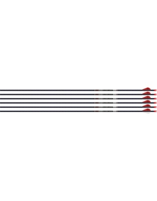 EASTON ARROW 5MM FMJ 400 W/ HO