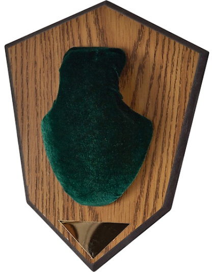 ALLEN ANTLER MOUNTING KIT