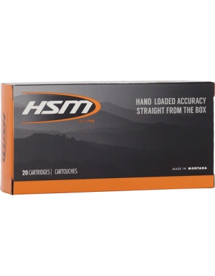 HSM 45-70 GOV 300GR HPFP