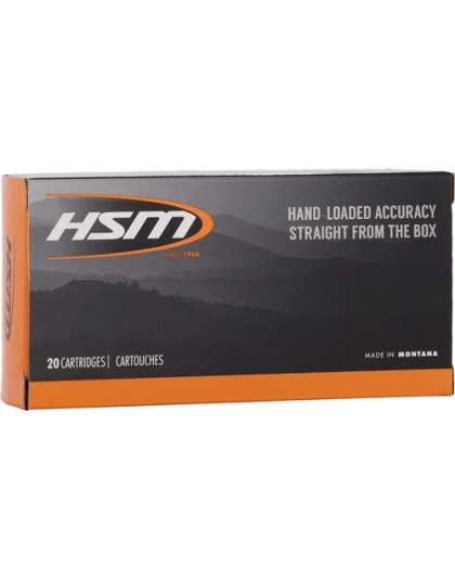 HSM 45-70 GOV 300GR HPFP