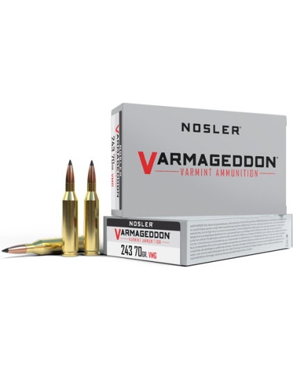 NOSLER VARMAGEDDON 243 WIN