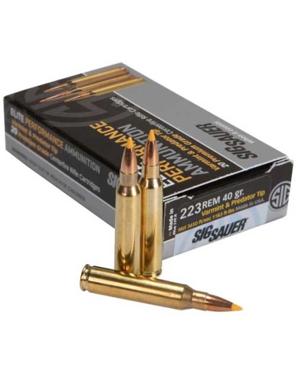 SIG 223 REM 40GR