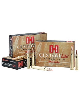 HORNADY CUSTOM LITE 243 WIN