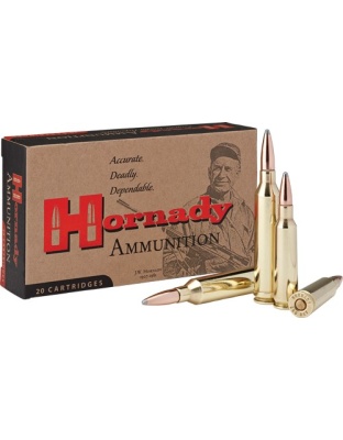 HORNADY 250 SAVAGE 100GR