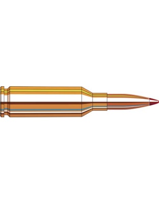 HORNADY MATCH VARMINT 22 ARC