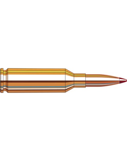 HORNADY MATCH VARMINT 22 ARC