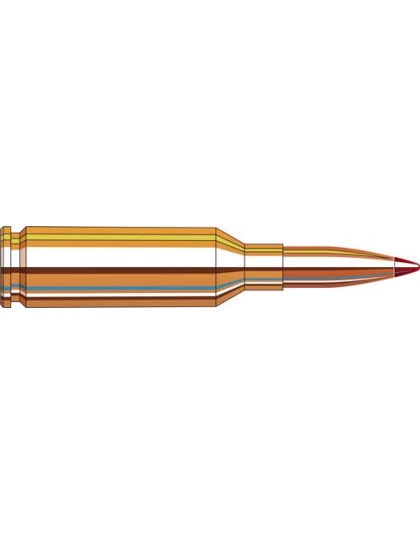 HORNADY V-MATCH 22 ARC