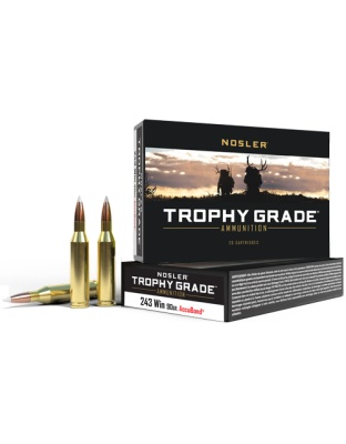 NOSLER TROPHY GRADE 243 WIN