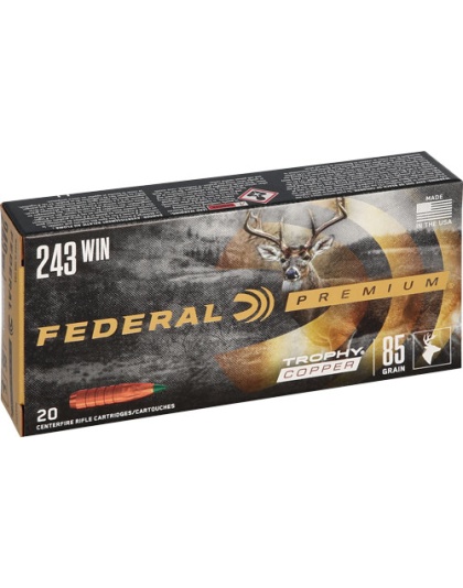 FEDERAL PREMIUM 243 WIN 85GR