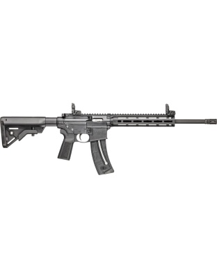 S&W M&P15-22 SPORT 22LR 16.5"
