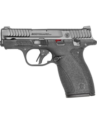 S&W BODYGUARD 2.0 380ACP 2.75"