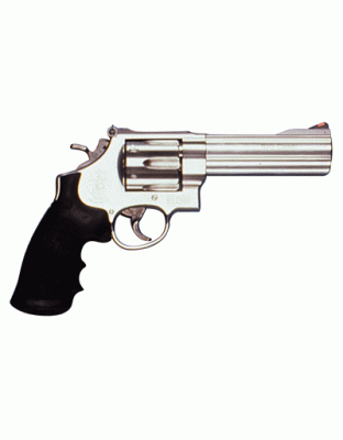 S&W 629 44MAG 5" AS 6-SHOT