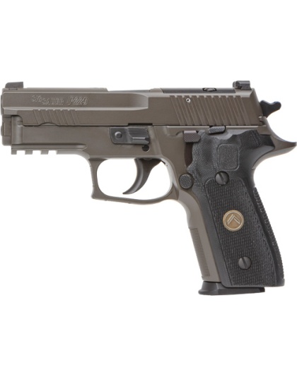 SIG P229 LEGION 9MM 3.9"