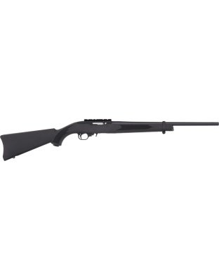 RUGER 10/22 CARBINE 22LR