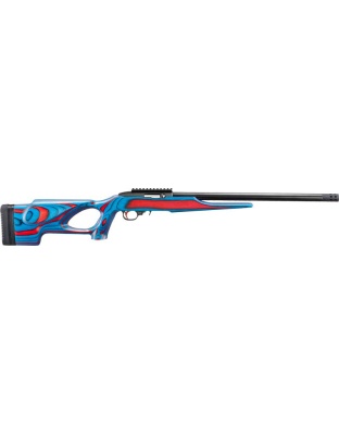 RUGER 10/22 USA SHOOTING 2024