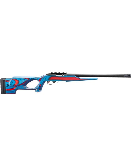 RUGER 10/22 USA SHOOTING 2024