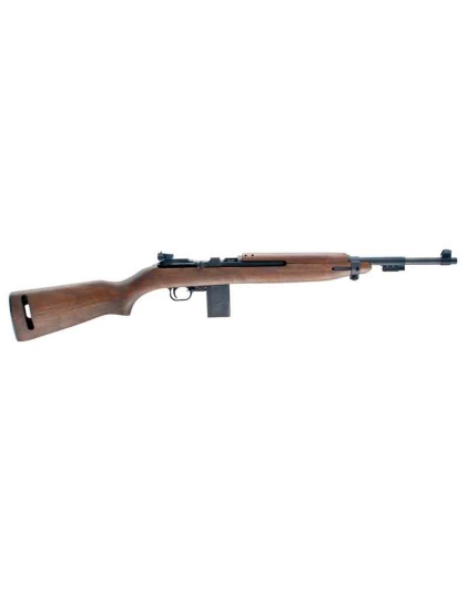 CHIAPPA M1-22 22LR