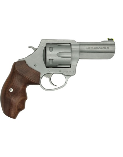 CHARTER ARMS PROFESSIONAL V