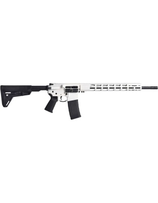 RUGER AR556 MPR 223 30-SHOT