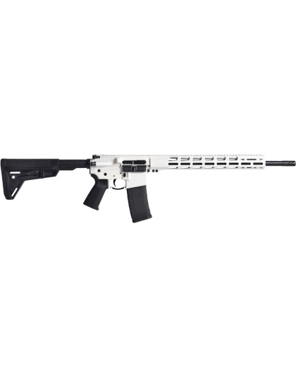 RUGER AR556 MPR 223 30-SHOT
