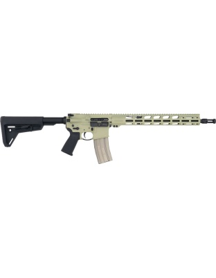 RUGER AR556 MPR 300 AAC BRAVO