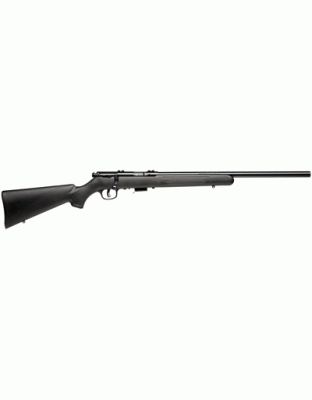 SAVAGE 93R17-FV 17HMR 21" HB