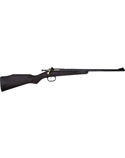 CRICKETT RIFLE G2 22WMR