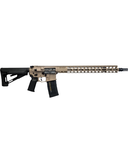 RADIAN RIFLE MDL 1 223 WYLDE