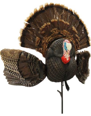 MOJO SCOOT N SHOOT MAX TURKEY