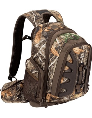 INSIGHTS THE ELEMENT DAY PACK