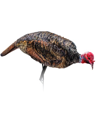 MONTANA DECOY TURKEY JAKE