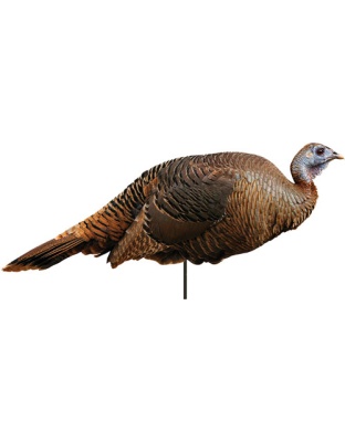 MONTANA DECOY TURKEY SPRING