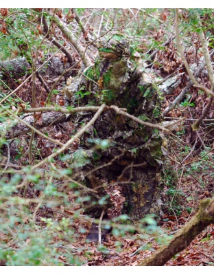 TITAN LEAFY SUIT MOSSY OAK