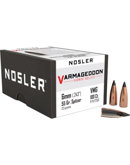 NOSLER BULLETS 6MM .243