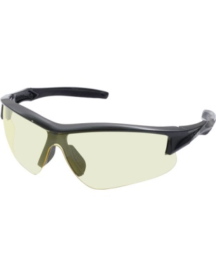 HOWARD LEIGHT ACADIA GLASSES