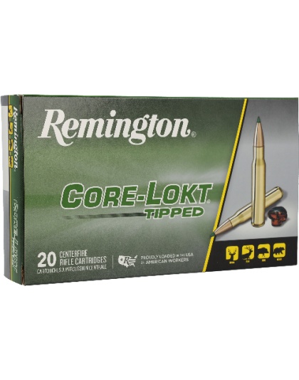 REMINGTON 243 WIN 95GR TIPPED