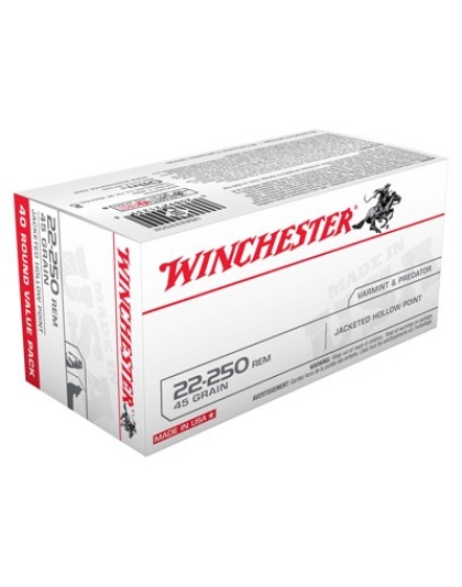 WINCHESTER USA 22-250 REM