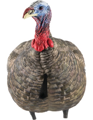 AVIAN X LCD QUARTER STRUT JAKE