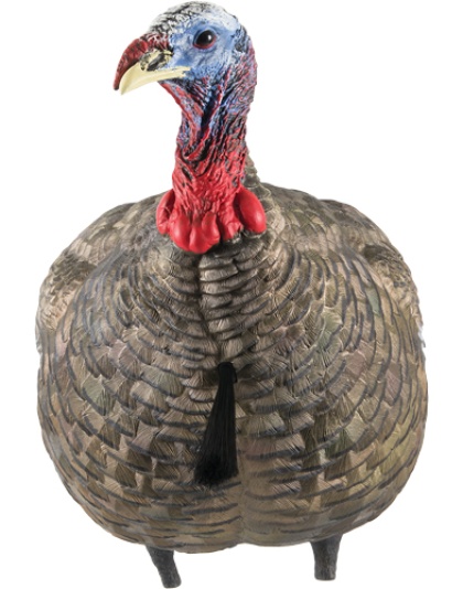 AVIAN X LCD QUARTER STRUT JAKE