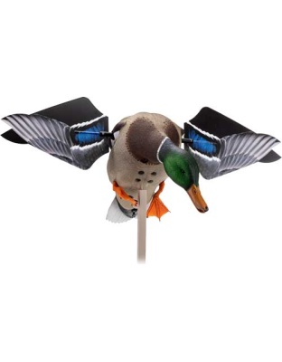 AVIAN X POWERFLIGHT SMART