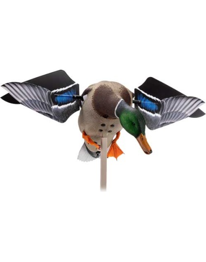 AVIAN X POWERFLIGHT SMART
