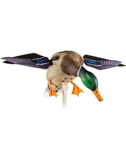 AVIAN X POWERFLIGHT SPINNING