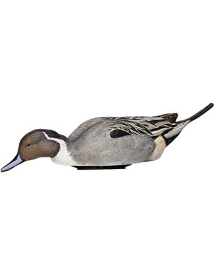 AVIAN X POWER SHAKER PINTAIL