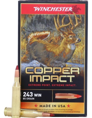 WINCHESTER COPPER IMPACT 243