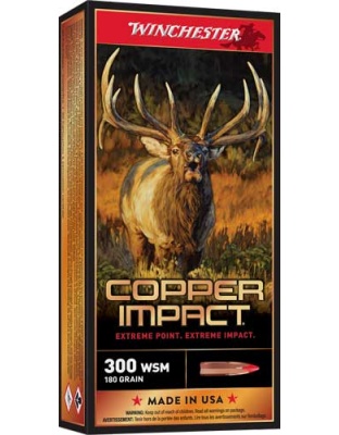 WINCHESTER COPPER IMPACT 300