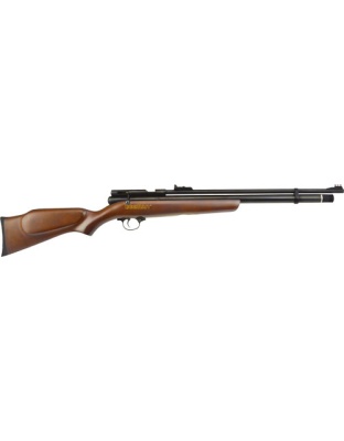 BEEMAN 1322 PCP CHIEF .22