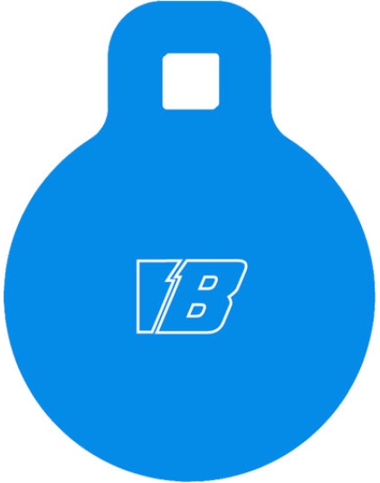 BASH TARGET AR500 GONG TARGET