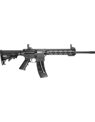 S&W M&P15-22 SPORT 22LR 16.5"